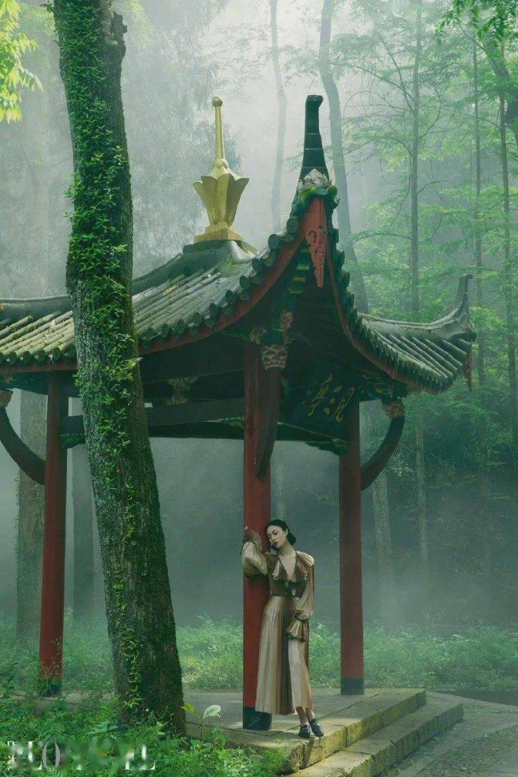 镜之边缘：催化剂